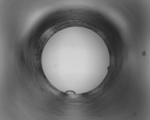 X0000116790526200912181057