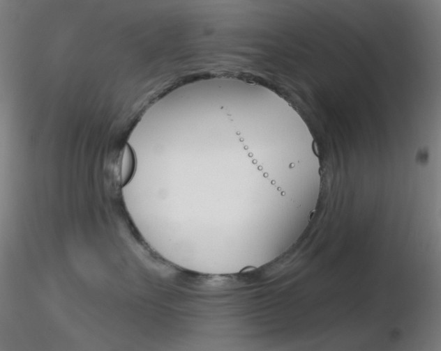 X0000116790527200912181057