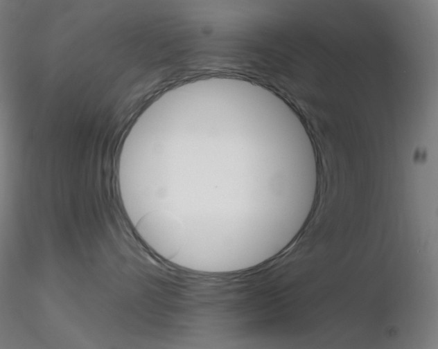 X0000116790528200912181057