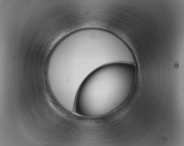 X0000116790530200912181056