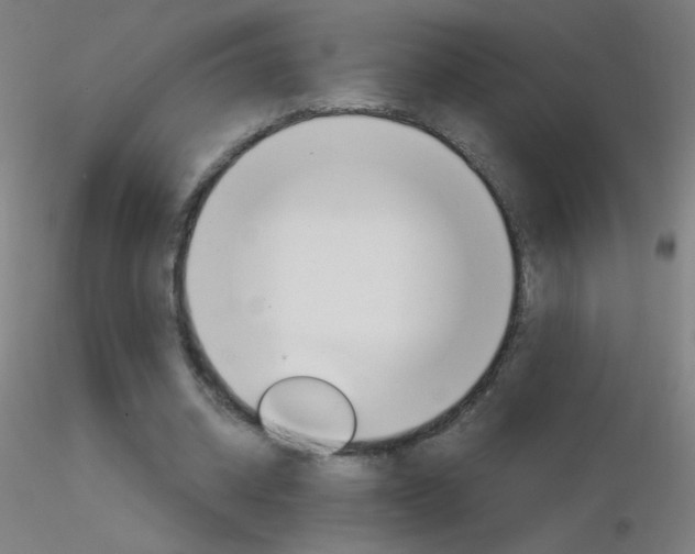 X0000116790534200912181057