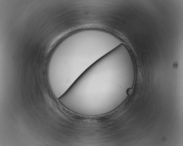 X0000116790535200912181057
