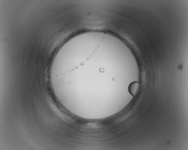 X0000116790541200912181057