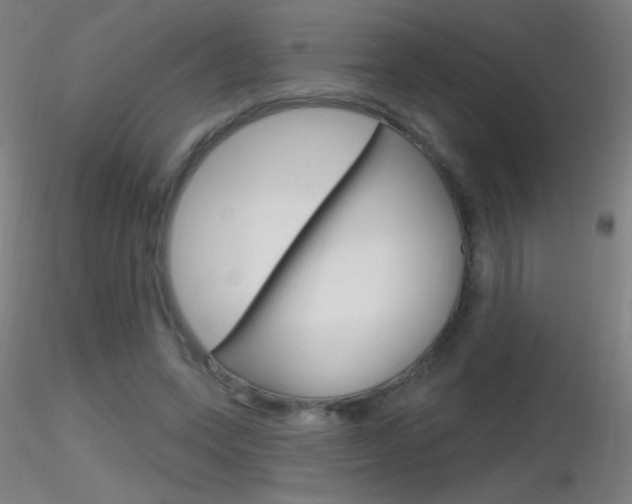 X0000116790543200912181057