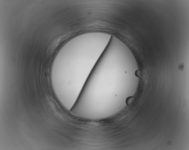 X0000116790547200912181057
