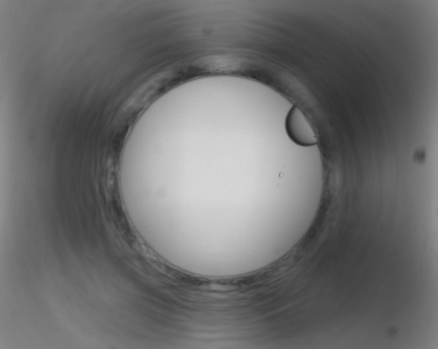 X0000116790549200912181057