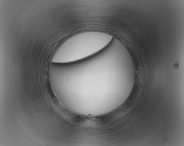X0000116790550200912181057