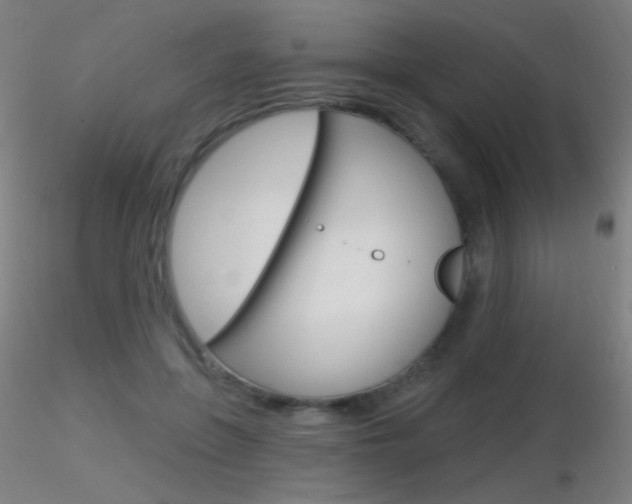 X0000116790551200912181057