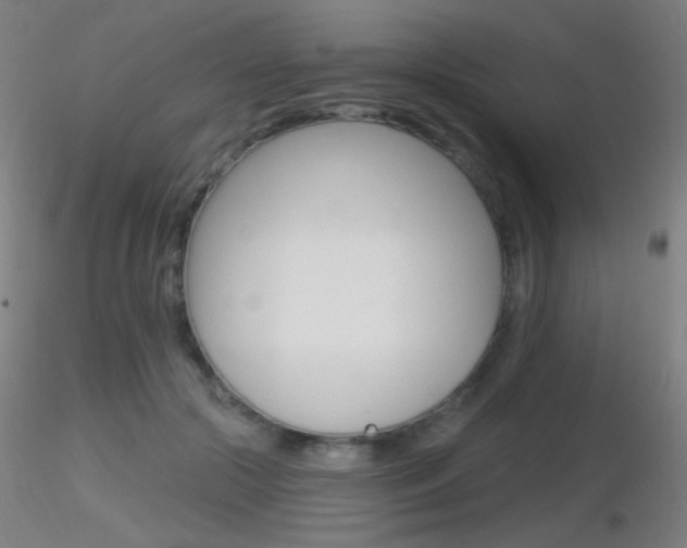 X0000116790553200912181057