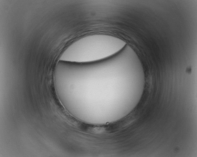 X0000116790554200912181057