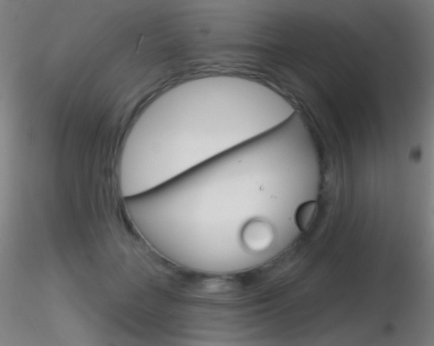 X0000116790555200912181057