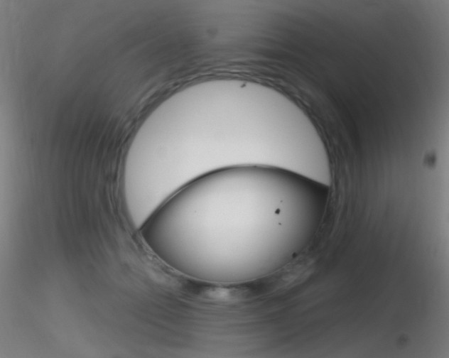 X0000116790558200912181057