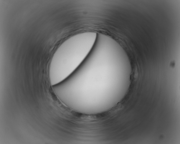 X0000116790559200912181057