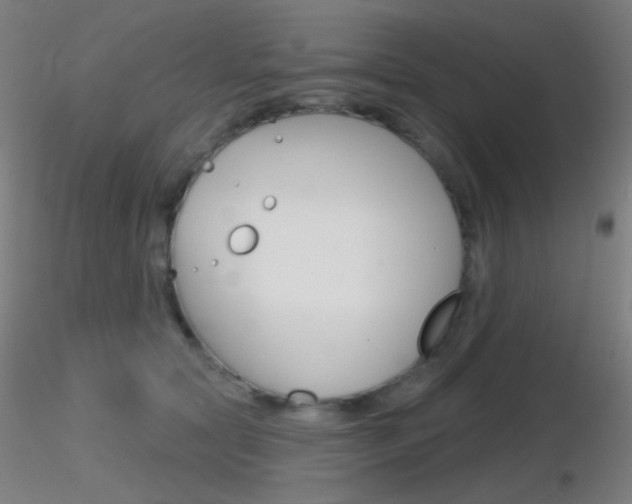 X0000116790561200912181057