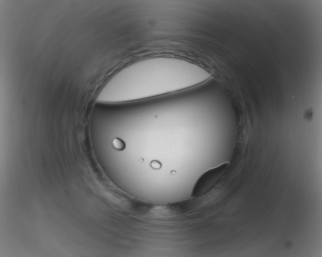 X0000116790562200912181057