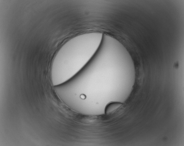 X0000116790563200912181057