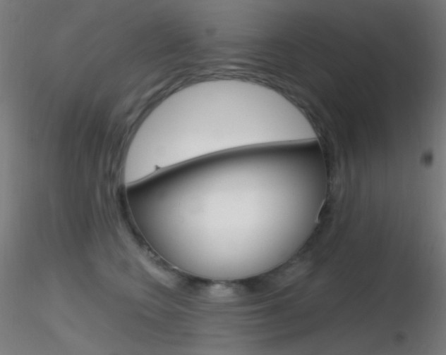 X0000116790566200912181057