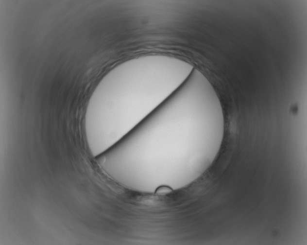 X0000116790567200912181057