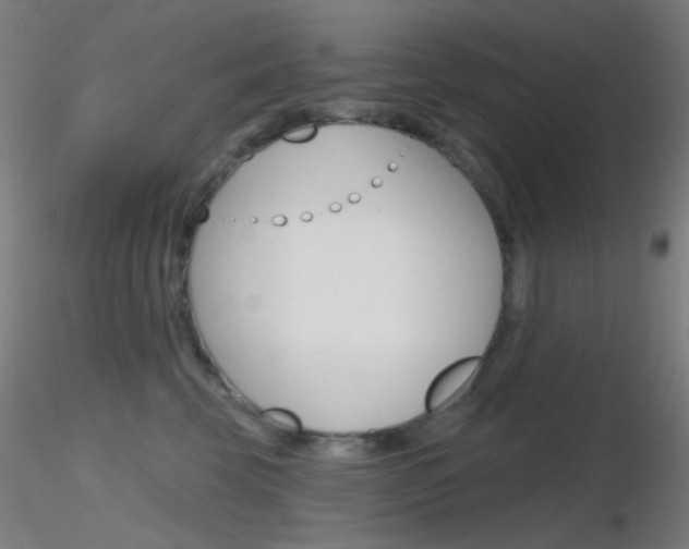 X0000116790569200912181057