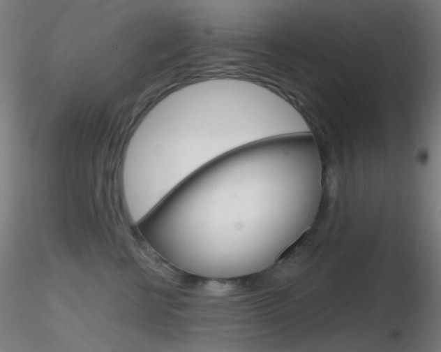 X0000116790570200912181057