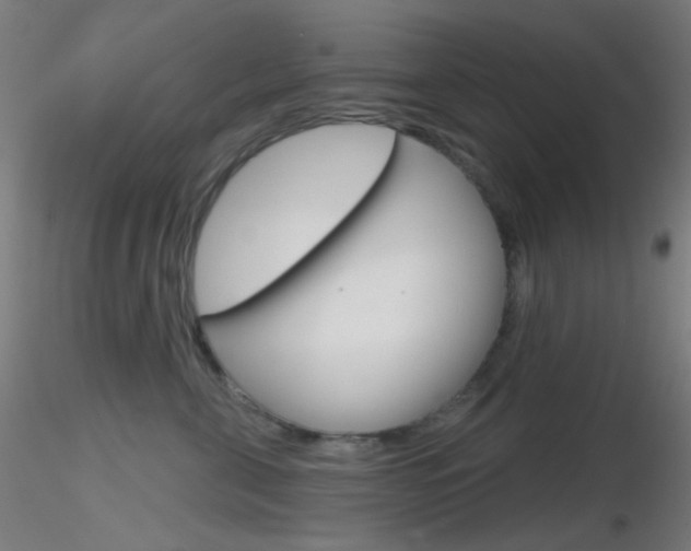 X0000116790571200912181057