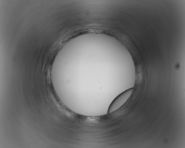 X0000116790573200912181057