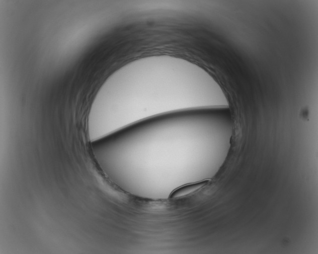 X0000116790574200912181057