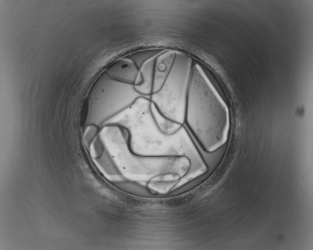 X0000116790577200912181056