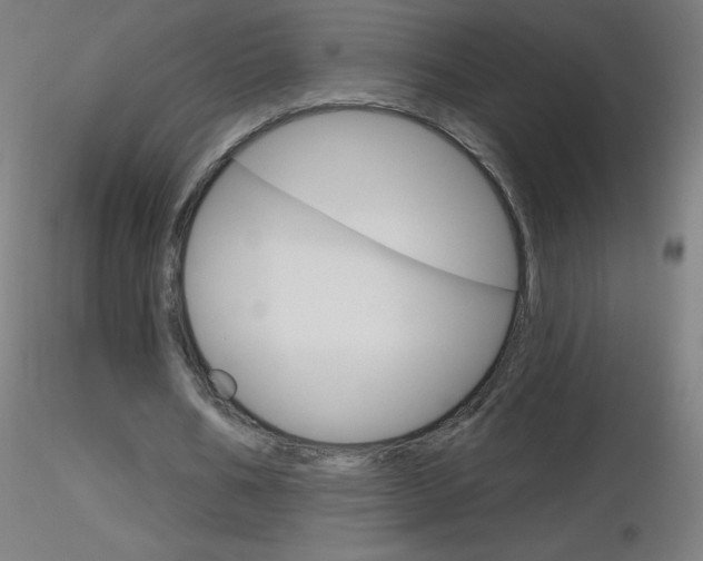 X0000116790578200912181056