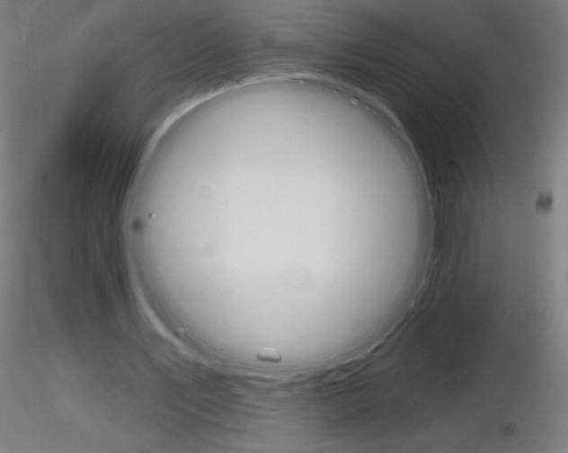 X0000116790579200912181056