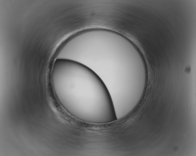 X0000116790580200912181056