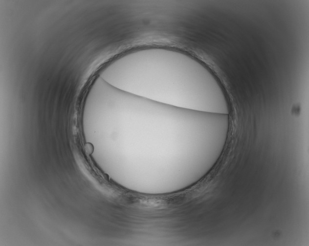 X0000116790582200912181056