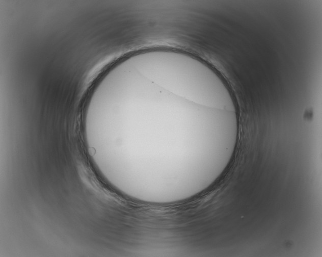 X0000116790583200912181056
