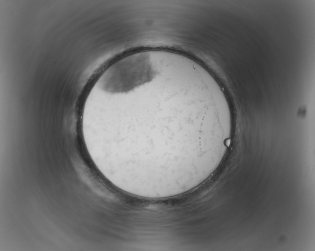 X0000116790584200912181056