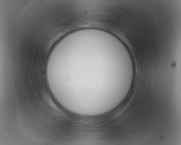 X0000116790585200912181056