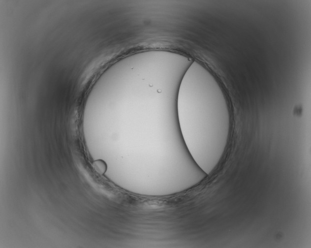 X0000116790586200912181056