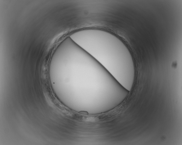 X0000116790587200912181056