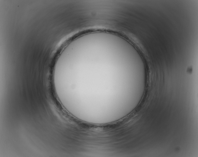 X0000116790588200912181056