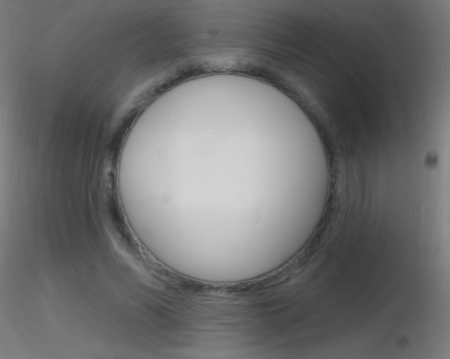 X0000116790590200912181056