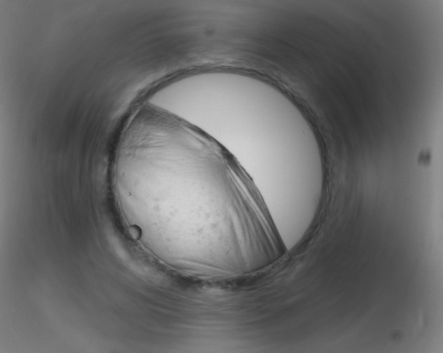 X0000116790592200912181056
