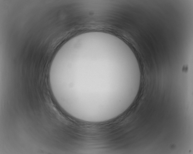 X0000116790593200912181056