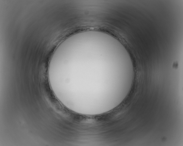 X0000116790594200912181056