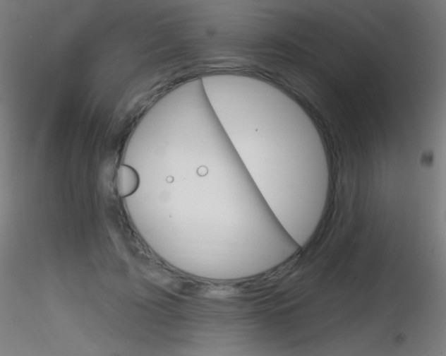 X0000116790595200912181056