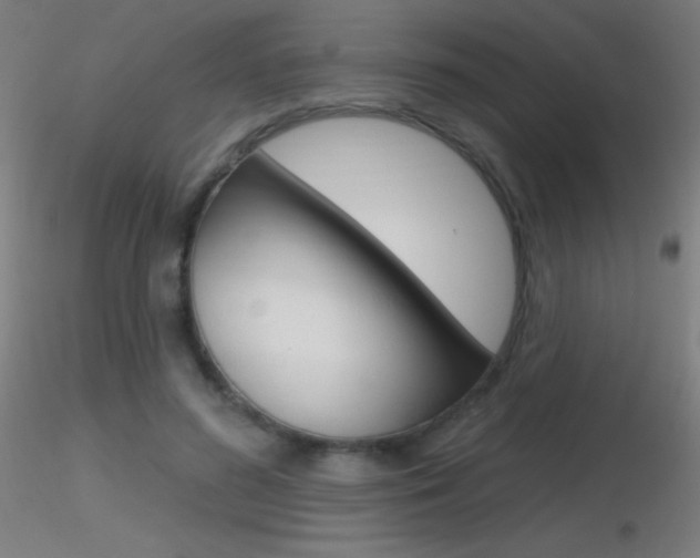 X0000116790596200912181056
