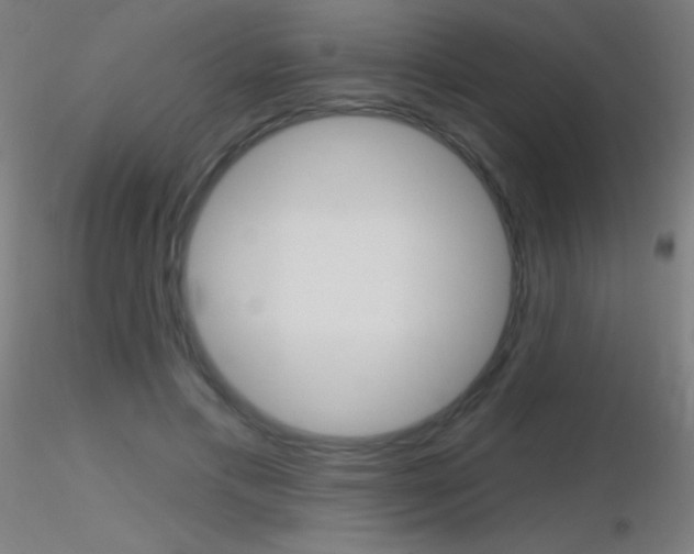 X0000116790597200912181056