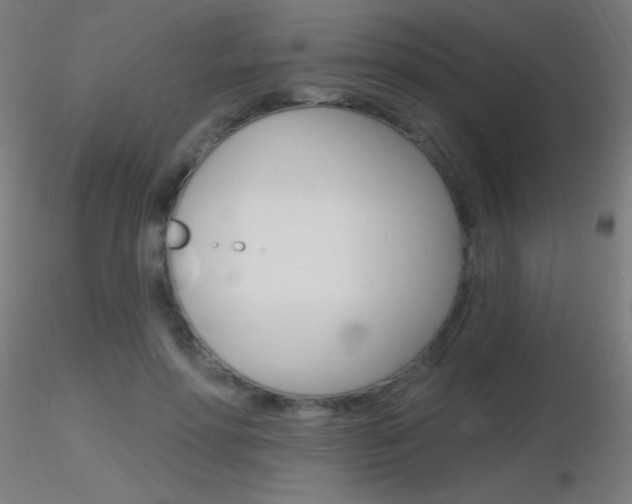 X0000116790598200912181056