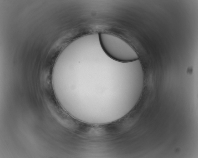 X0000116790599200912181056