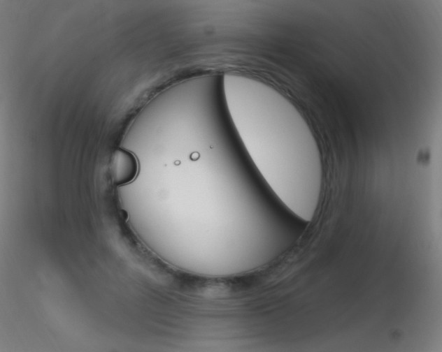 X0000116790600200912181056