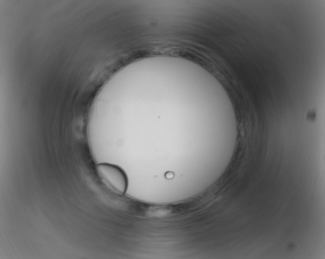 X0000116790602200912181056