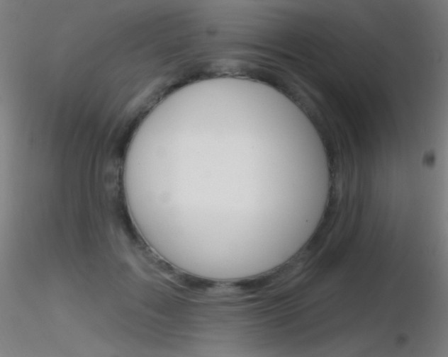 X0000116790603200912181056